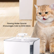 Load image into Gallery viewer, Water Fountain - 2.5L
