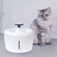 Water Fountain - 2.5L