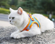 Load image into Gallery viewer, Cat Harness + Leash: Orange
