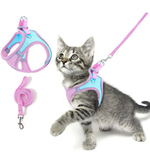Load image into Gallery viewer, Cat Harness + Leash: Orange
