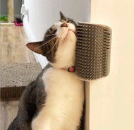 Self Grooming Brush