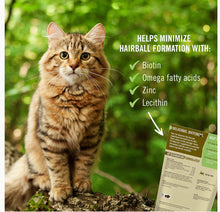 Load image into Gallery viewer, Pet Naturals Hairball Control
