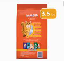 Load image into Gallery viewer, IAms proactive healthy adult
