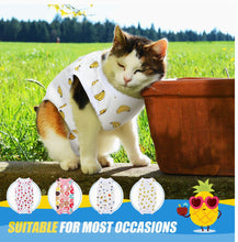 Load image into Gallery viewer, Cat Recovery Suits
