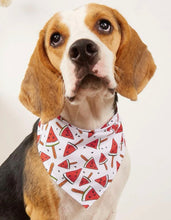 Load image into Gallery viewer, Pet Bandana/Scarf
